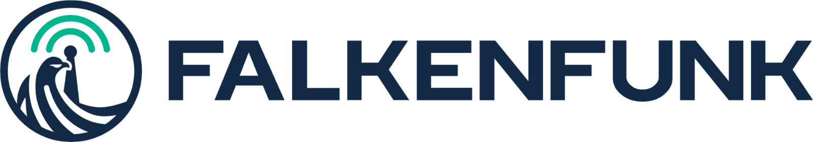 FALKENFUNK Consulting